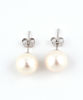 Picture of JM 925 Sterling Silver Classic Pearl Earrings (8.8-9mm)
